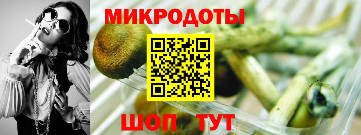 Псилоцибиновые грибы Magic Shrooms  Вход с VPN  Псилоцибиновые грибы GOLDEN TEACHER  Красногорск 