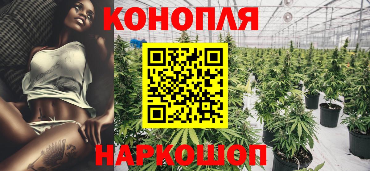 Бошки Шишки AK-47 Красногорск